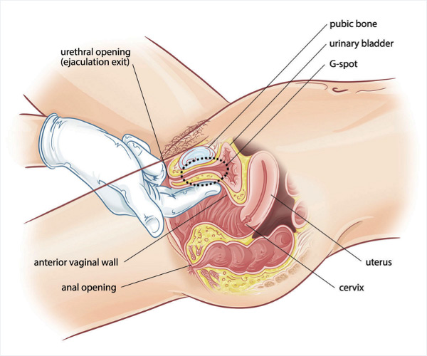 G Spot Massage